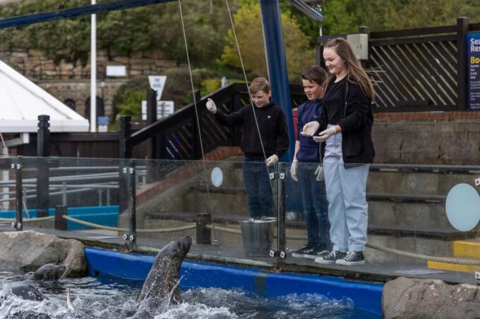 Sea Life Scarborough - Special Events and Activities