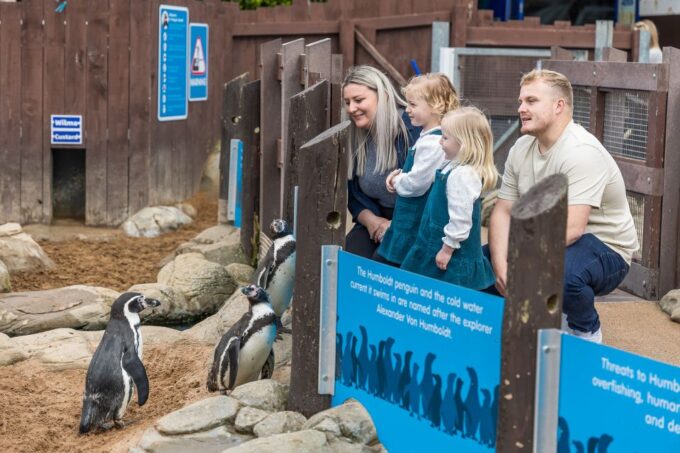 Sea Life Scarborough - Frequently Asked Questions