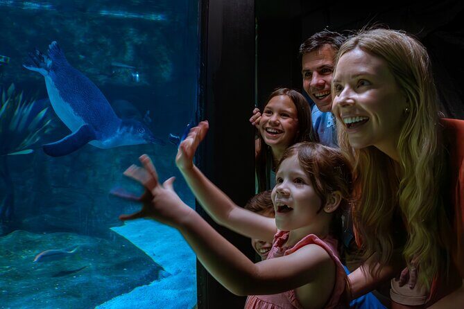 SEA LIFE Sunshine Coast Aquarium Entrance Ticket - FAQ