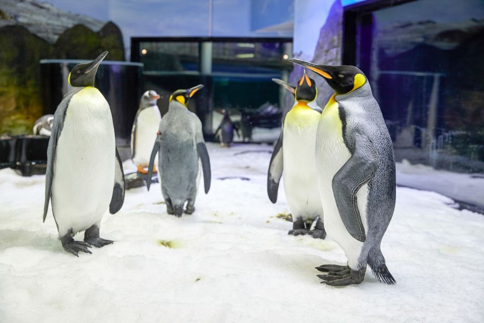 SEA LIFE Sydney Aquarium - Recap