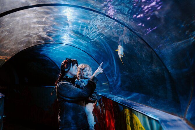 SEA LIFE Weymouth Admission Ticket - What’s Included in the Ticket?