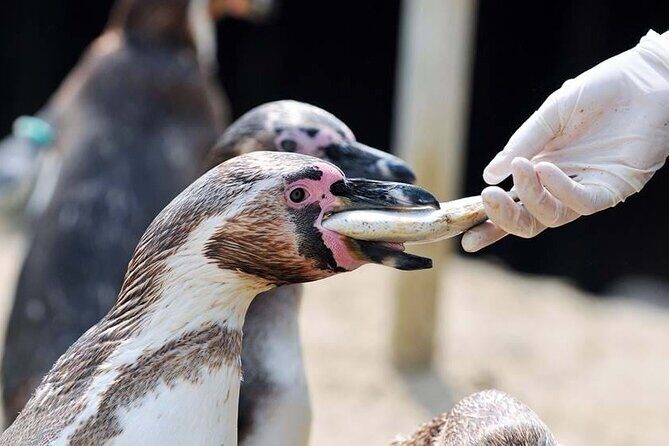SEA LIFE Weymouth Admission Ticket - Accessibility and Comfort
