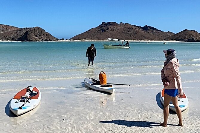 Sea Lions & Mega-Paddleboard Tour in Balandra - The Real Value