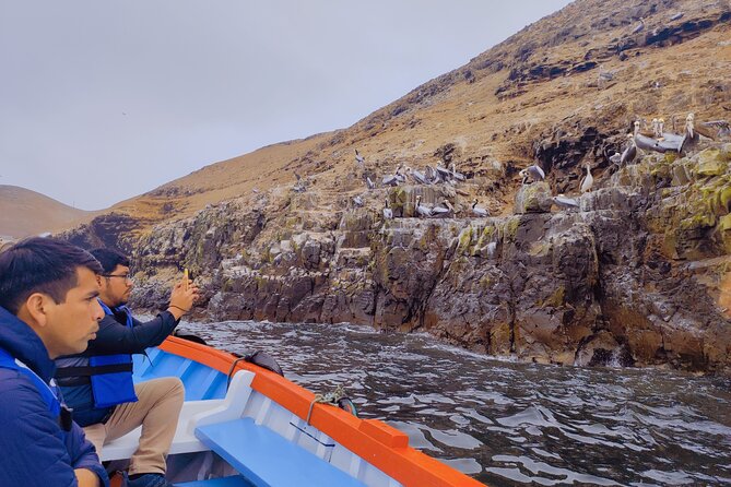 Sea Lions Sightseeing & ATV off Road Adventure From Lima - Pucusana Boat Trip