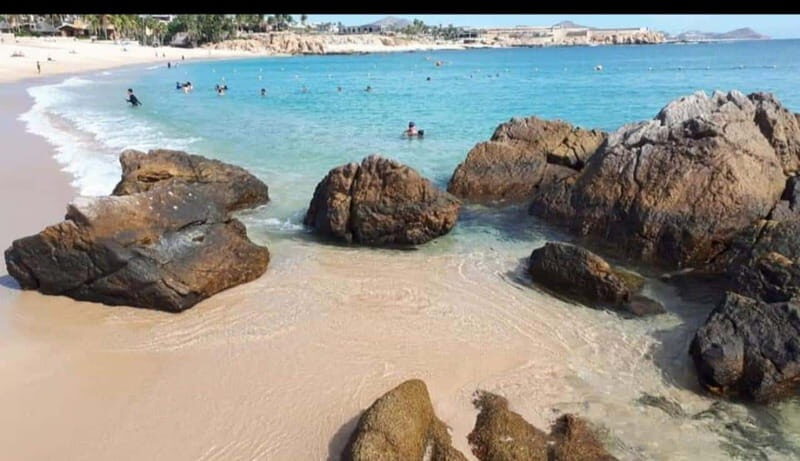 Sea of Cortez: Unforgettable Snorkeling Experience - Key Points