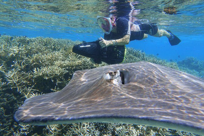 Sea Scooter Jet Snorkeling "Moorea Dream Adventure" - FAQ