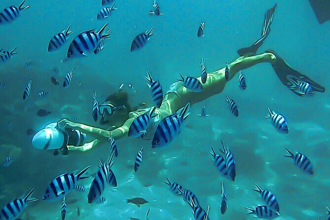 Sea Scooter Snorkel Tour - Lagoon Discovery : Wrecks, Coral Gardens and Tropical Fishies - An Honest Look at the Sea Scooter Snorkel Tour – Lagoon Discovery in Tahiti