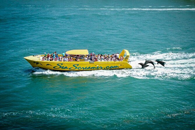 Sea Screamer Clearwater's Only Speed Boat Dolphin Watching - The Itinerary in Detail