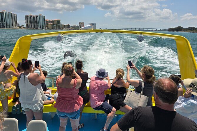 Sea Screamer Clearwater's Only Speed Boat Dolphin Watching - Who Should Book This Tour?