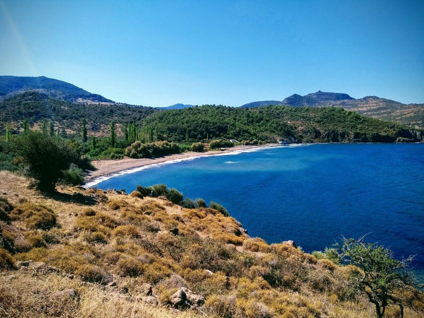 Sea, Sun and Swimming Cruise From Mytilene - Key Points