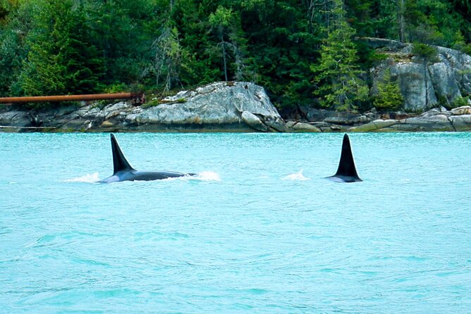 Sea to Sky Afternoon Sail - Inclusions for a Comfortable Trip