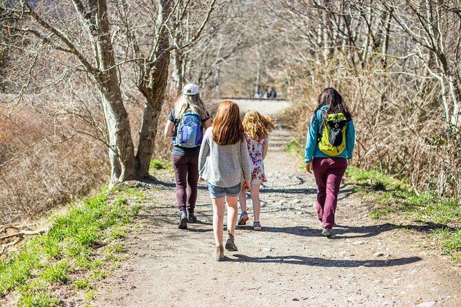 Sea to Sky Discovery Tour - FAQ: Your Practical Questions Answered