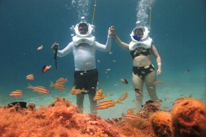 Sea Trek Adventure at Chankanaab National Park - The Itinerary Breakdown: What to Expect