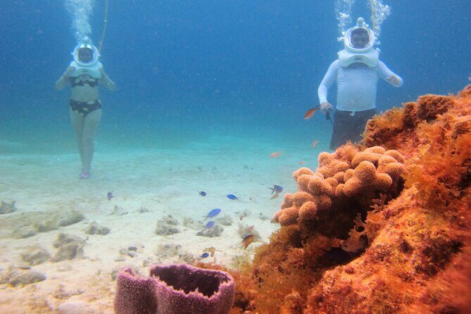 Sea Trek Adventure at Chankanaab National Park - Final Thoughts