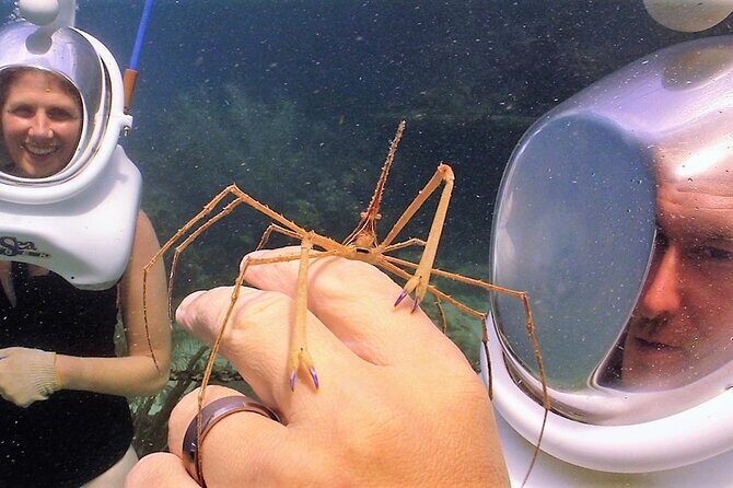 Sea Trek Helmet Dive at Coral World Ocean Park - Final Thoughts