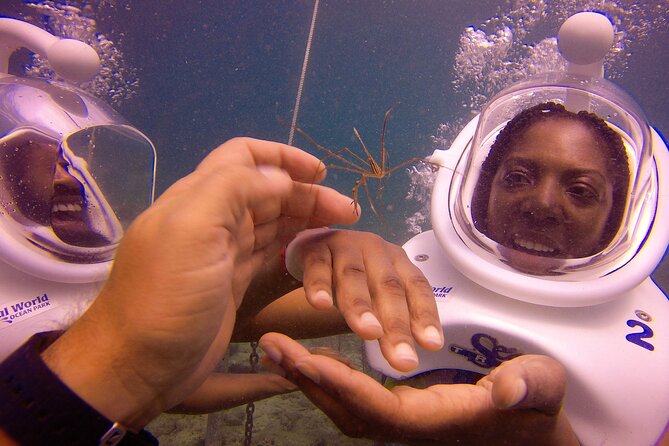 Sea Trek Helmet Dive at Coral World Ocean Park - Process