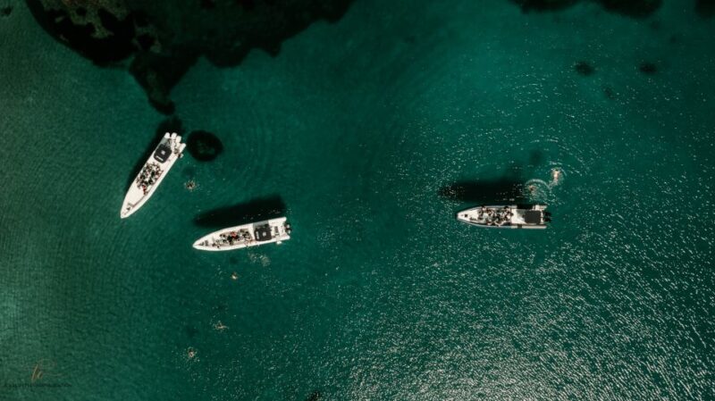 Sea Trip: Ajaccio - Scandola Reserve - Highlights of the Itinerary