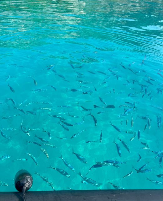 Sea Trip From Villefranche Sur Mer & Swimming Stop - Booking and Cancellation Policy