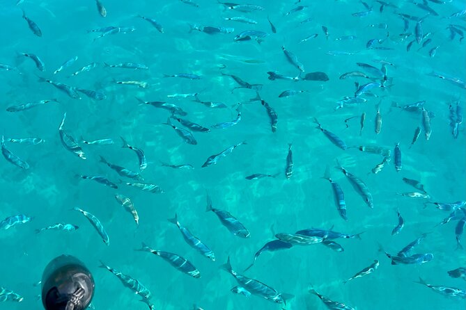 Sea Trip From Villefranche Sur Mer to Monaco and Nice - Health and Safety Guidelines