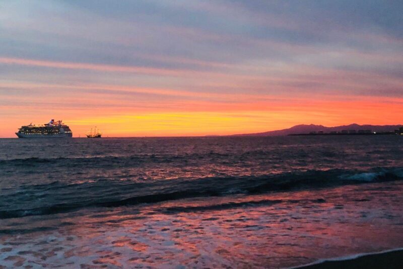 Sea Turtle Conservation Release Puerto Vallarta - The Sum Up: Why This Experience Matters