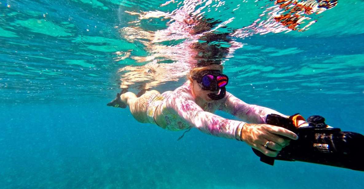 Sea Turtle Jet Snorkeling With Videos - Experienced Guide Expertise