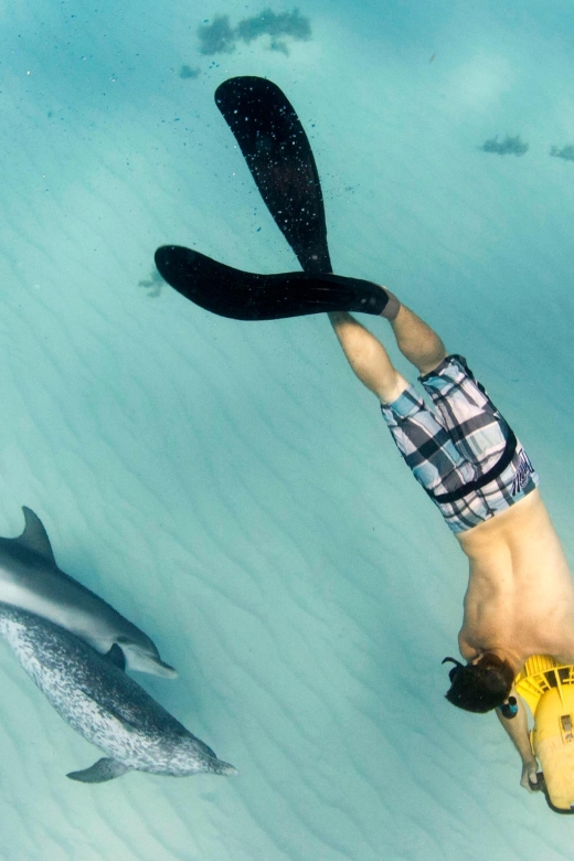 Sea Turtle Jet Snorkeling With Videos - Eco-Friendly Commitment