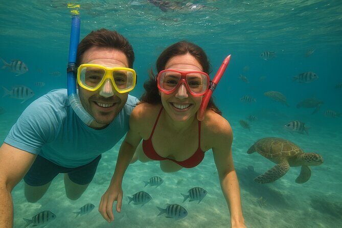 Sea Turtle Snorkel Tour - The Itinerary: An Easy, Shore-Based Experience