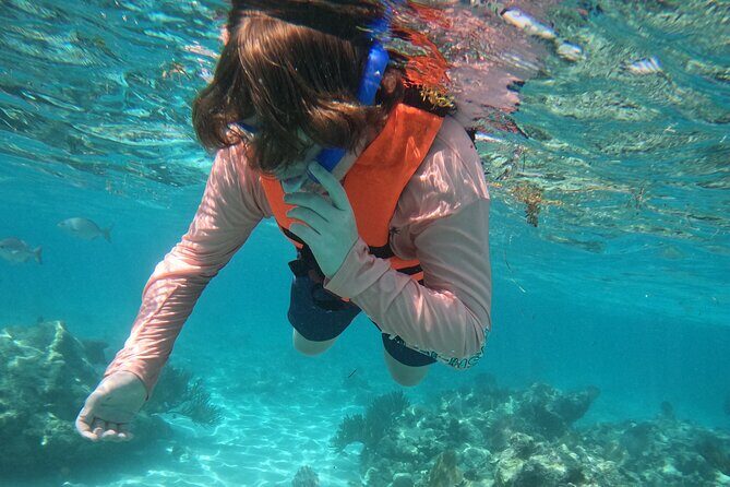 Sea Turtle Snorkeling in Akumal - Introduction: A Genuine Snorkeling Experience in Akumal