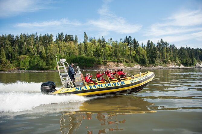Sea Vancouver City and Nature Tour - Tour Experience and Feedback