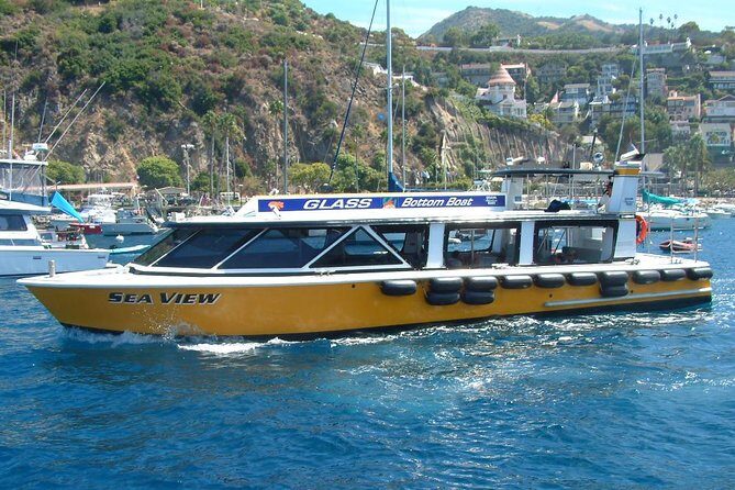 Sea View Glass Bottom Boat Excursion - Exploring the Sea View Glass Bottom Boat Excursion: A Practical Review