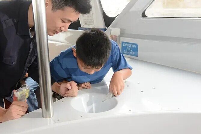 Sea View Glass Bottom Boat Excursion - What to Expect During the Tour