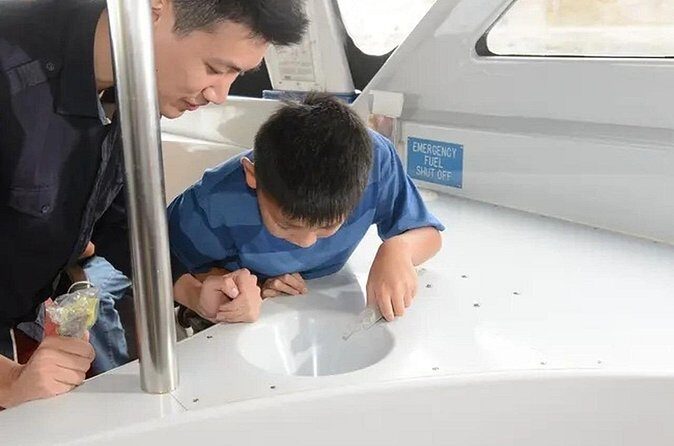 Sea View Glass Bottom Boat Excursion - The Sum Up: Who Should Consider This Tour?