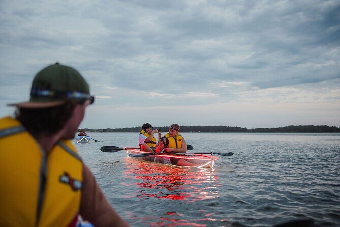 Seafood Sunset Paddle Tour on Lake Macquarie - Who Should Consider This Tour?