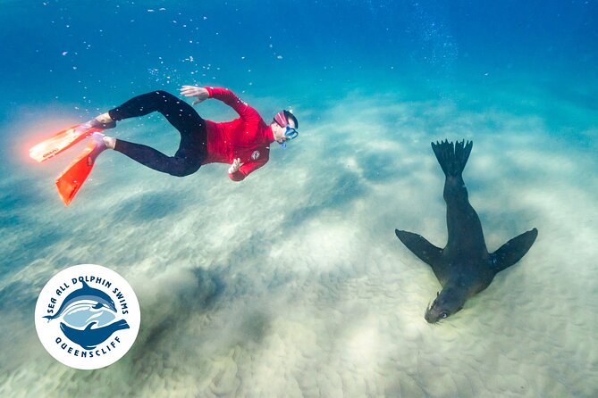 Seal & Dolphin Swim Tour - Safety and Wildlife Guidelines