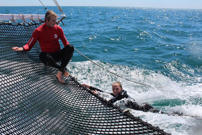 Seal & Dolphin Swim Tour - Snorkeling Locations