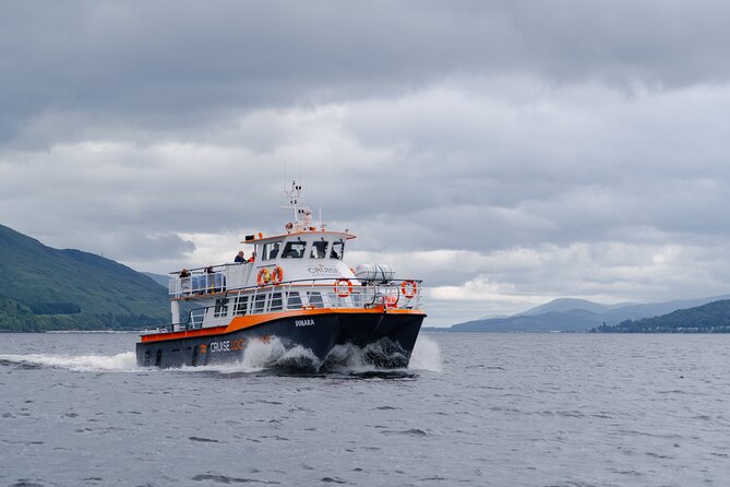 Seal Island Cruise Tour - Whats Included