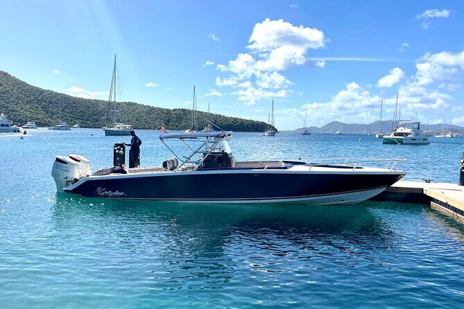 "Seas the Day!" Hop to iconic BVI islands and amazing snorkeling. - Who Would Love This Tour?