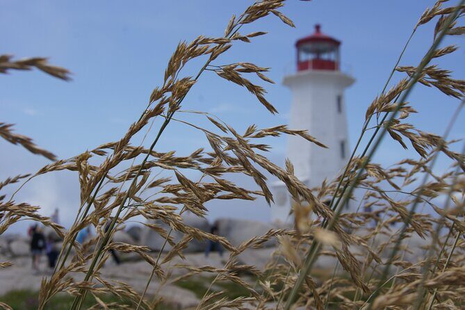 Seascape Excursions of Nova Scotia - Who Should Consider This Tour?