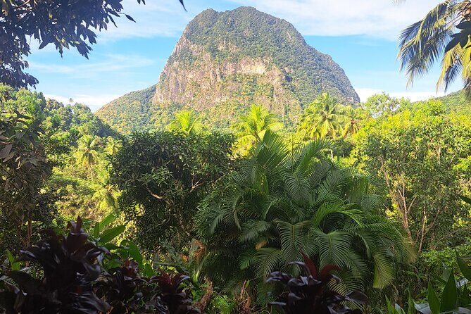 Seasoned Experience at Esperance Estate - Who Will Love This Tour?