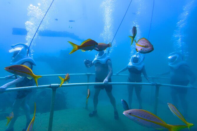 SeaTrek Tour St. Maarten - FAQ About the SeaTrek Tour in St. Maarten