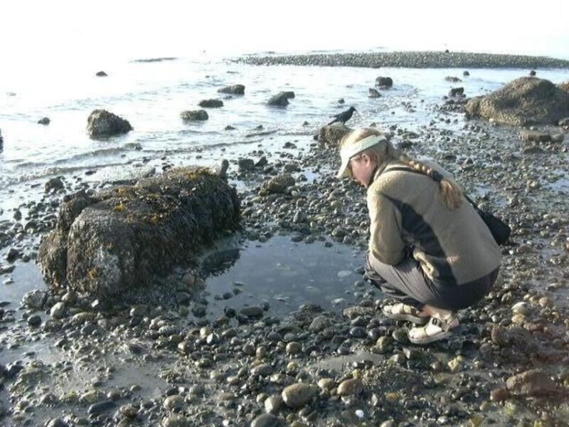Seattle: Alki Lighthouse Sea Kayak Tour - Participant Requirements
