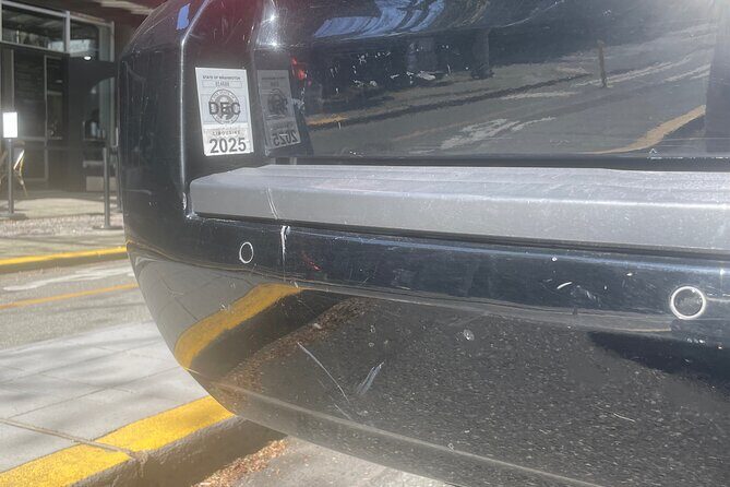 Seattle Cruise Port or Airport Private Transfer - An In-Depth Look at the Seattle Private Transfer Service