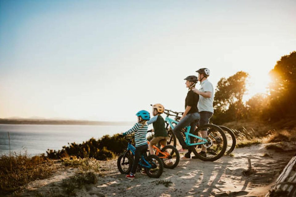 Seattle: Discovery Park E-Bike Tour - Electric Bike Details