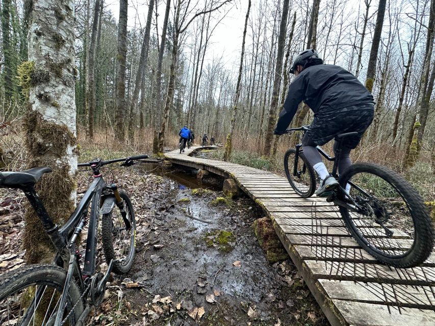 Seattle: Half Day All-Inclusive Mountain Bike Tour - Guided by Local Experts