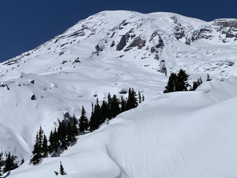 Seattle: Mt. Rainier Hiking w/ Waterfalls, Glaciers & Trees - Guided Hikes and Exploring the Landscape