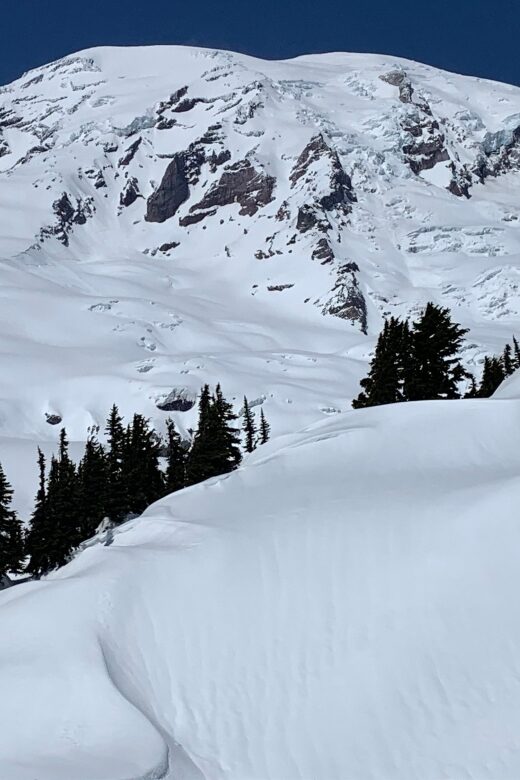 Seattle: Mt. Rainier Hiking w/ Waterfalls, Glaciers & Trees - Lunch and Comfort Breaks