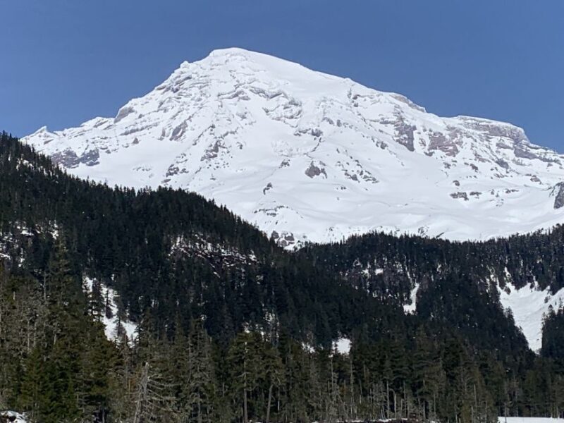Seattle: Mt. Rainier Hiking w/ Waterfalls, Glaciers & Trees - The Return Journey