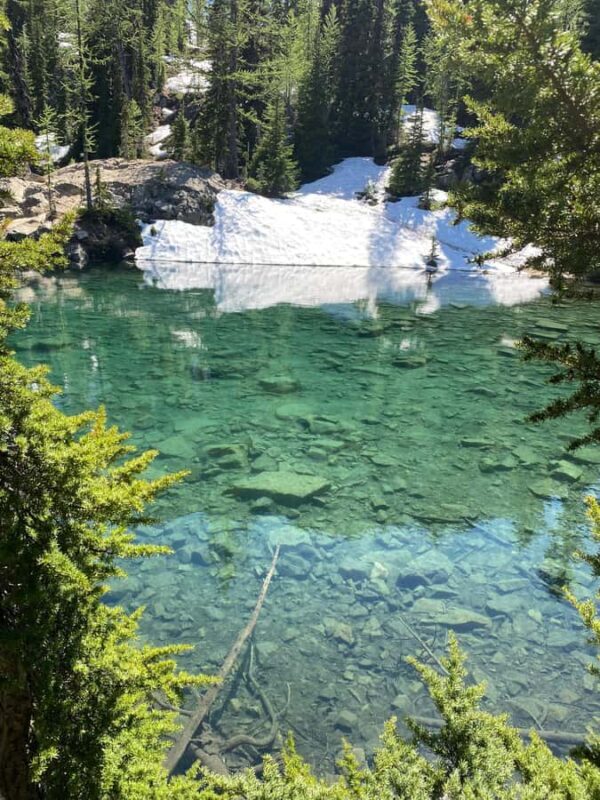 Seattle: North Cascades Day Trip Experience - An In-Depth Look at the North Cascades Day Trip