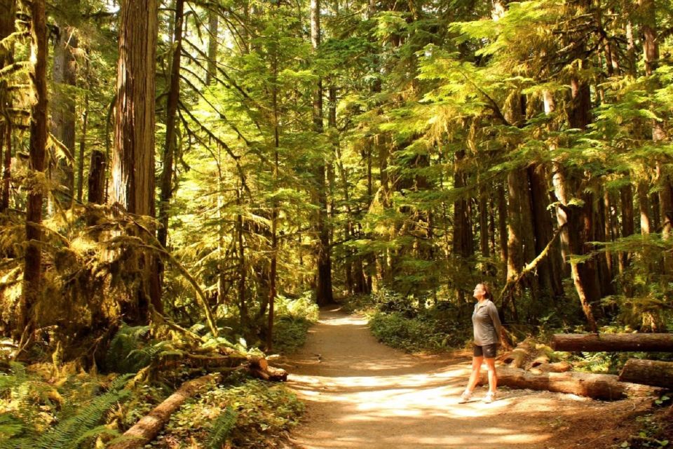 Seattle: Olympic National Park Small-Group Tour - Pickup and Transportation