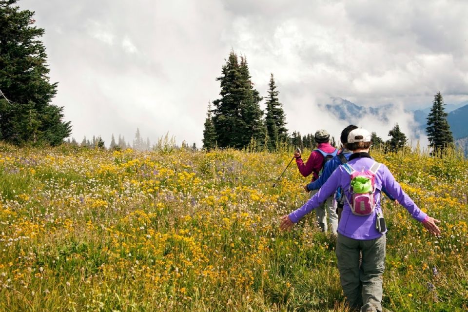 Seattle: Olympic National Park Small-Group Tour - Stops and Sightseeing